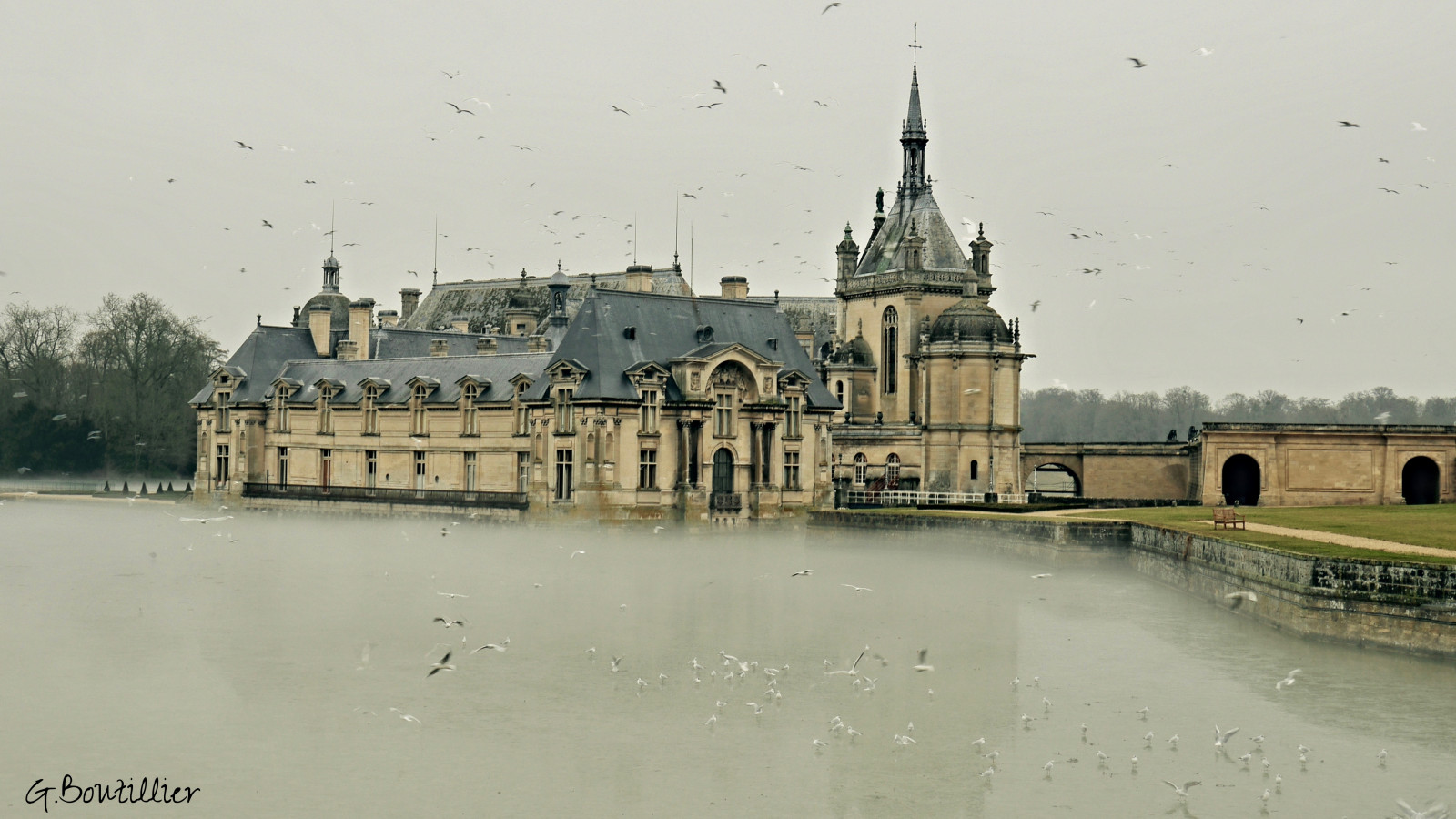 Chateau, Chantilly, Oise, Castel, Frankreich, Picardie, Oiseau, Vogel, Ente, Ente, Pierre, Ancien, halt, Brouillard, Gris, Ciel, Herbe, Banc, Eau, Lac, Arbres, Himmel, Domainechantilly, Cheval, Hiver, Soir, Froid, kalt, Eis, glasiert, Givre, Fumee