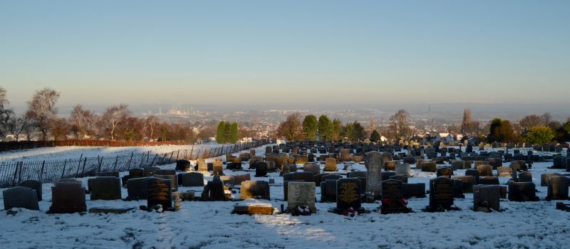 strom, nebe, sníh, zima, zmrazení, ráno