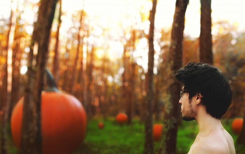 ต้นไม้, แสงแดด, ธรรมชาติ, รูปถ่าย, สีเหลือง, หญิงสาว