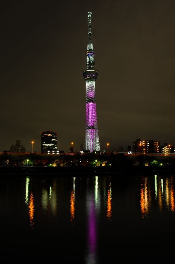 Japan, city, cityscape, night, architecture, reflection