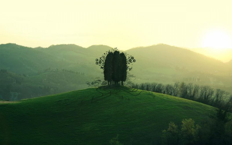 slunečnímu záření, krajina, les, kopec, Příroda, tráva slunečnímu záření, krajina, les, kopec, Příroda, tráva