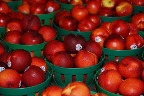 food,red,baskets,fruit,apple,plant