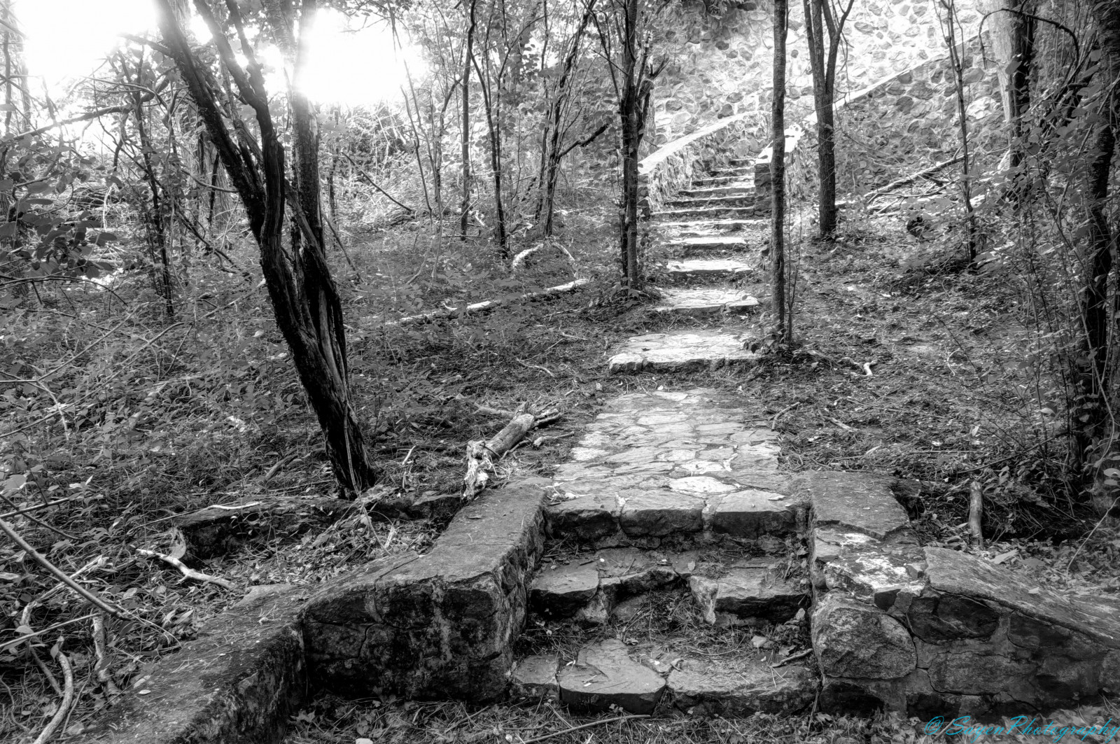 Wallpaper landscape, rock, grass, branch, stone, path, stairway, Michigan, Shelby, tree, trail