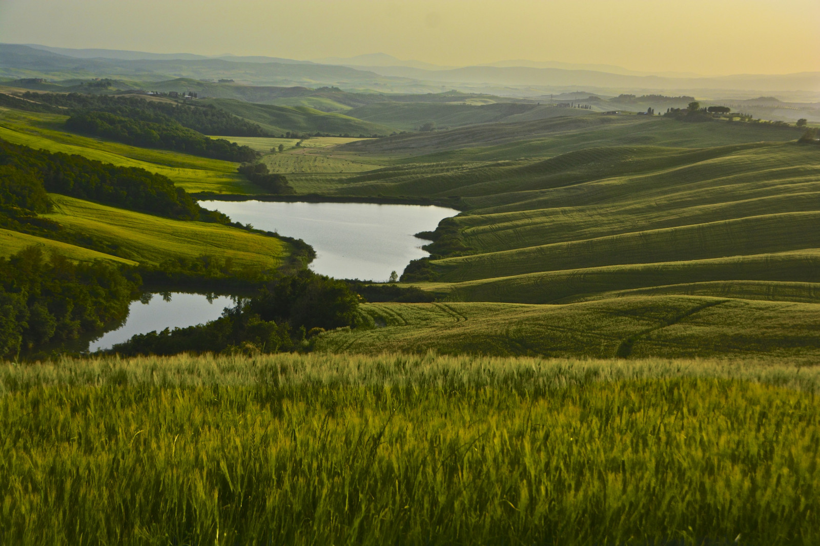 krajina, západ slunce, Itálie, kopec, jezero, Příroda, tráva, pole, mraky, kopce, ráno, horizont, údolí, Nikon, Siena, Toskánsko, plošina, step, Kréta, Tramonto, Tamron, hora, lučina, Italia, pastvina, zemědělství, louka, prostý, D7100, toscana, jezírka, nikond7100, vysočina, paesaggio, nuvole, prérie, Colline, bažina, jezero, venkov, místo výskytu, přírodní prostředí, atmosférický jev, horských reliéf, landform, geografický rys, ekosystém, pohoří, tráva rodina, klesl, neloupané pole, Laghi, campagnatoscana, cretesenesi, Asciano