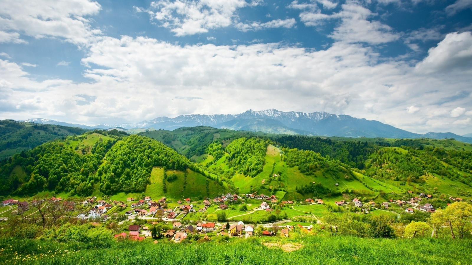 landskab, Skov, bjerge, bakke, natur, græs, himmel, Mark, skyer, bakker, landsby, dal, ødemark, Alperne, plateau, ryg, Sky, træ, bjerg, blomst, græsarealer, græs, landbrug, eng, almindeligt, 1920x1080 px, highland, landdistrikt, levested, naturligt miljø, bjergrige landskabsformer, landskabsform, geografisk funktion, økosystem, bjergkæde