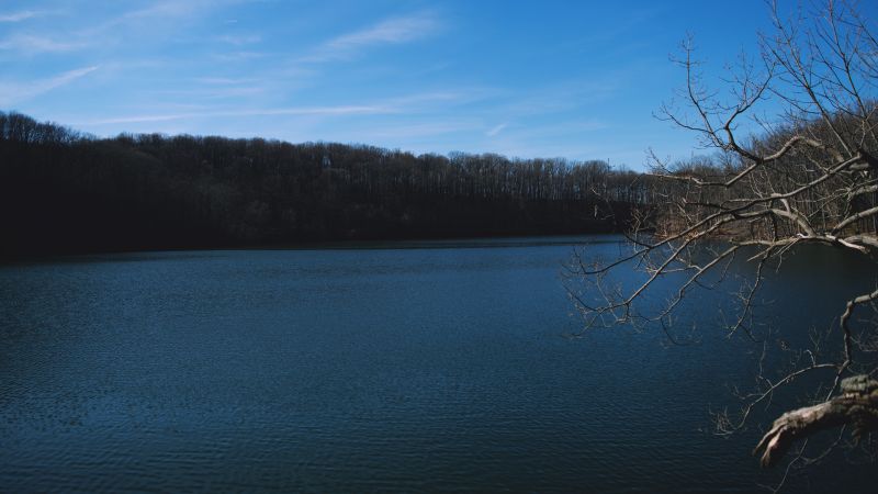 stromy, krajina, moře, jezero, voda, Příroda stromy, krajina, moře, jezero, voda, Příroda