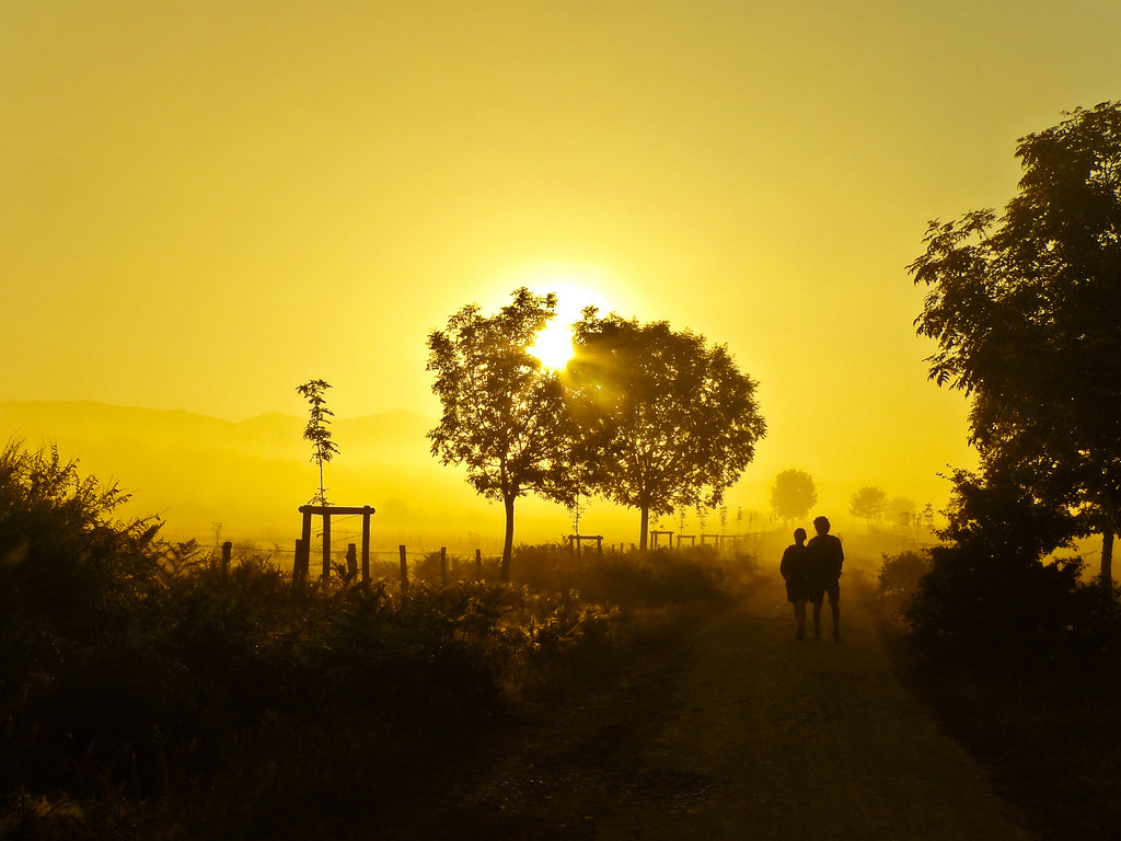 slunečnímu záření, ženy, západ slunce, Příroda, nebe, pole, silueta, svítání, žlutý, večer, ráno, mlha, slunce, Španělsko, horizont, soumrak, svatý, teplý, DMC, Panasonic, Santiago, strom, mlha, svítání, prozkoumat, muž, cesta, zemědělství, mygearandmepremium, mygearandmebronze, ty, James, camino, para, Compostela, droga, espania, Rano, s o ce, mg za, Hiszpania, drzewa, Kobieta, caminodesantiagodecompostela, FZ8, magicunicornverybest, m czy na, atmosférický jev, astronomický objekt