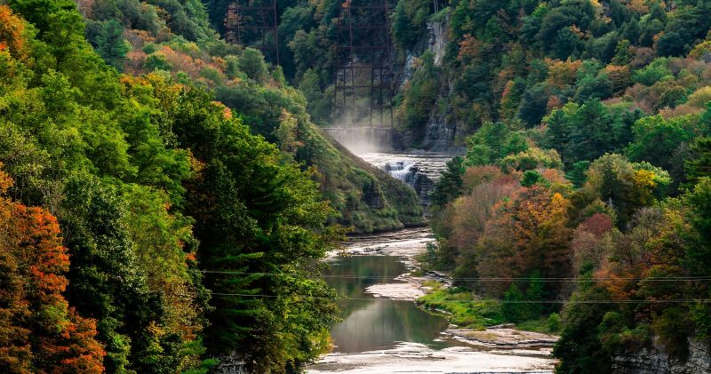 pohon, pemandangan, hutan, danau, air, air terjun pohon, pemandangan, hutan, danau, air, air terjun