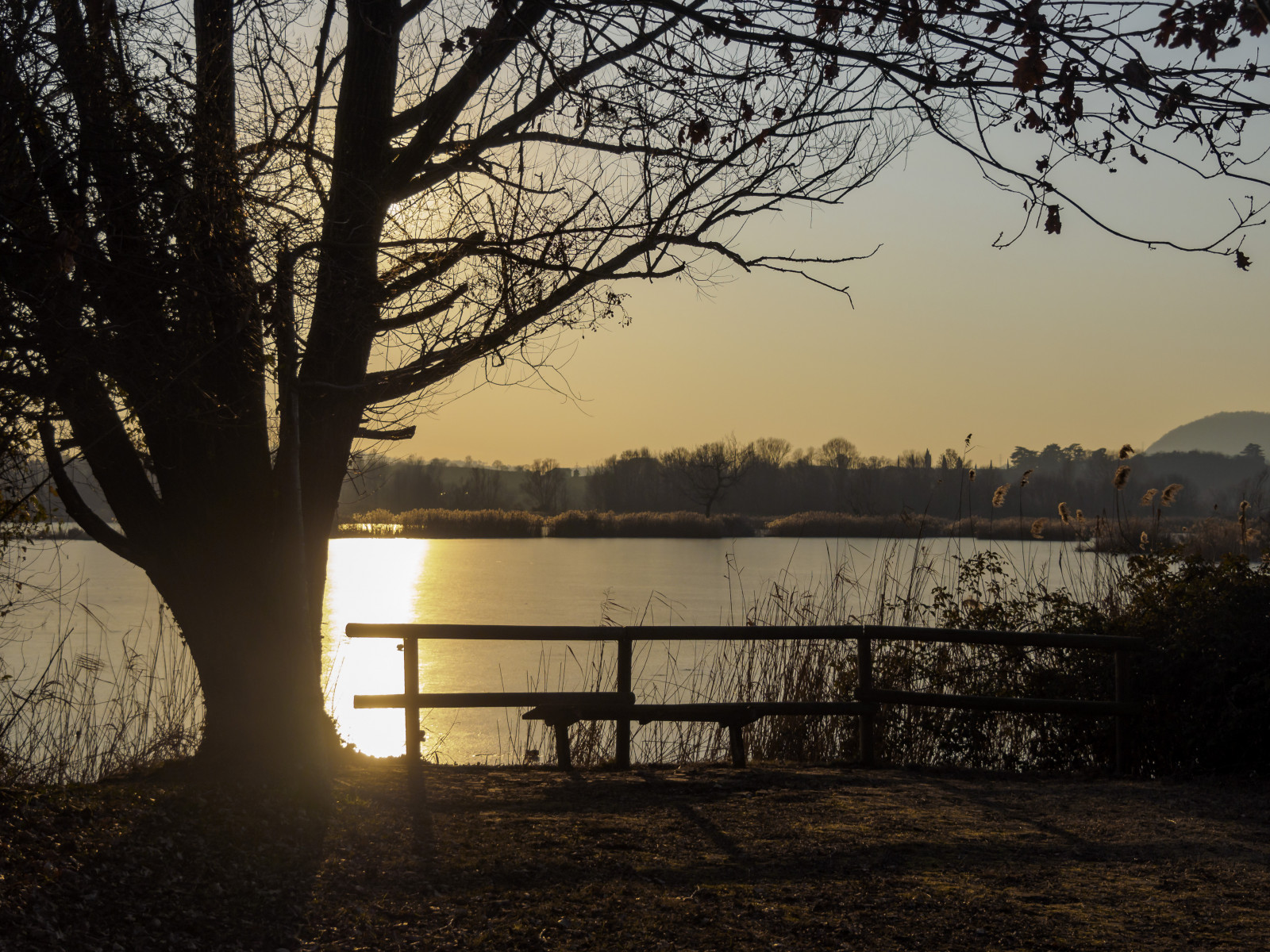 slunečnímu záření, krajina, západ slunce, Itálie, noc, jezero, voda, Příroda, odraz, nebe, zima, větev, svítání, led, večer, ráno, lavice, řeka, slunce, horizont, atmosféra, plot, soumrak, banka, slunce, Olympus, Tramonto, strom, list, svítání, rostlina, přírodní, Italia, italien, natur, ledový, del, Soleil, italie, coucher, podrážka, OMD, sonnenuntergang, du, riflesso, panchina, EM1, brescia, Itálie, lombardia, rezervovat, albero, puesta, iseo, dřevina, Lombardia, Lombardie, Riccardo, Palazzani, veridiano3, staccionata, Franciacorta, torbiere, naturale, riserva, Sebino, Provaglio