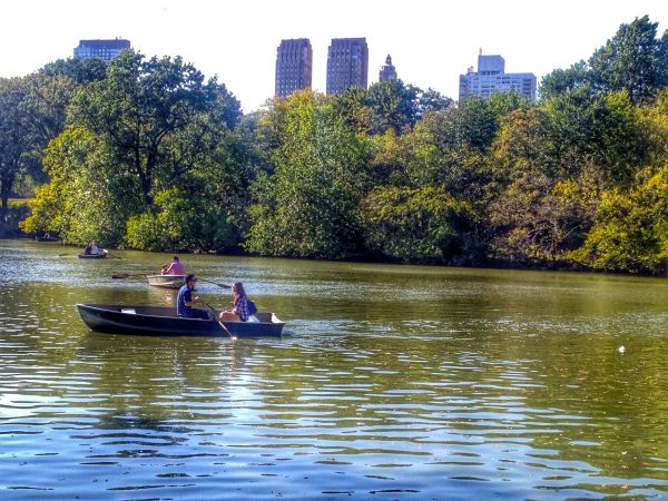 trees,boat,lake,water,vehicle,green