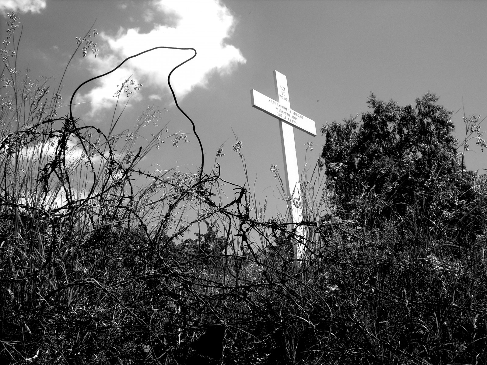 Francie, hrob, voják, Frankreich, válka, mír, WWI, urvat, guerre, Soldat, Elsass, 1weltkrieg