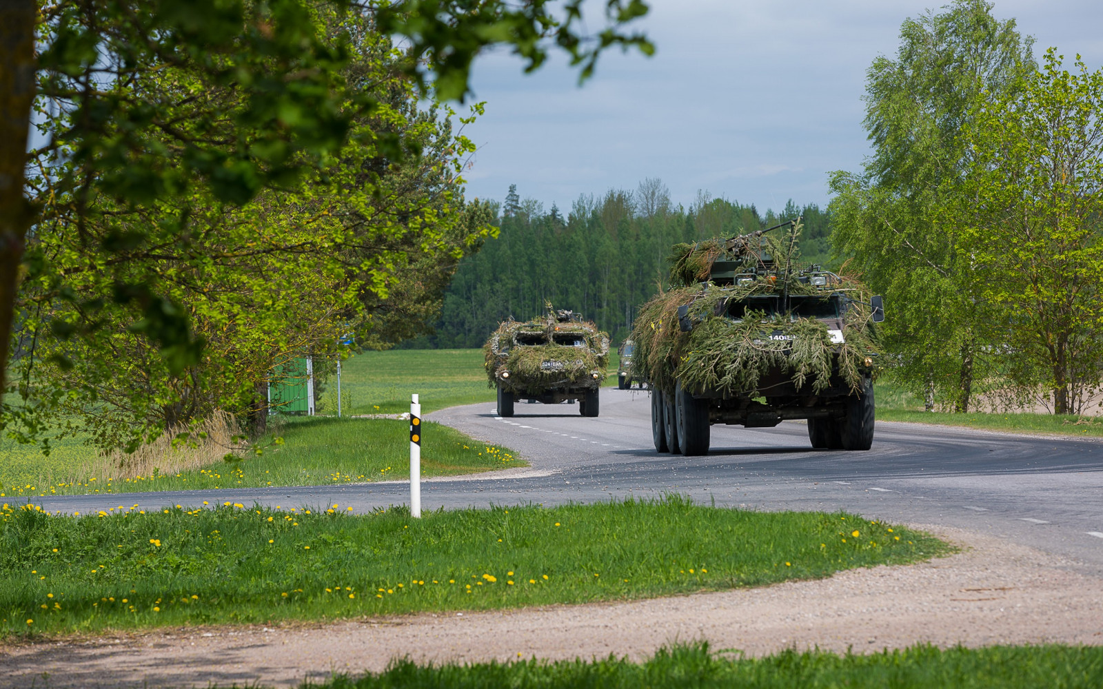 stromy, krajina, zahrada, tráva, park, vozidlo, silnice, zelená, brnění, hospodařit, válečný, maskovat, NATO, pamětní, strom, květ, yard, rostlina, rekreace, trávník, venkov, dřevina, rekreaci ve volné přírodě