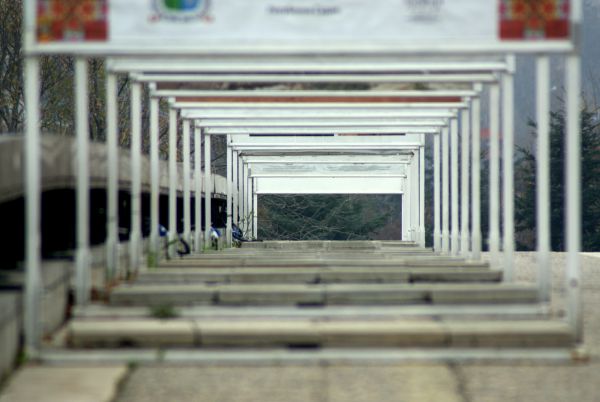trees,lines,frames,dof,patterns,Sony