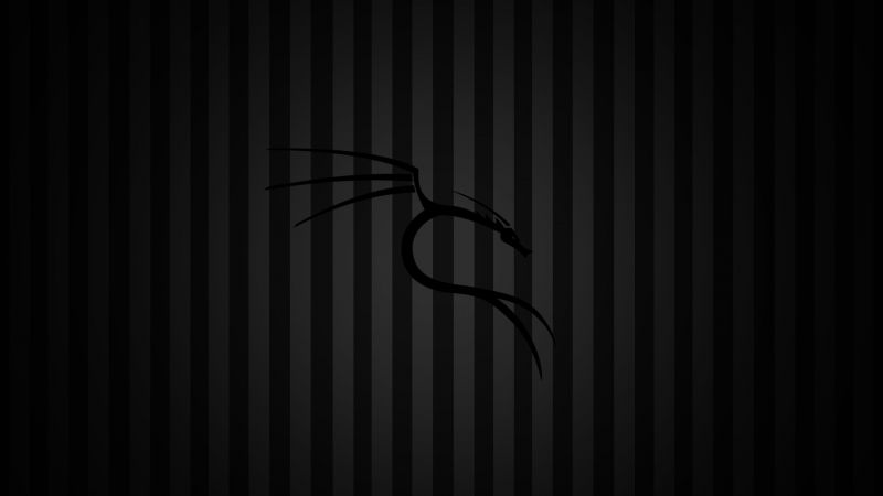 siyah,Tek renkli,Linux,Kali Linux NetHunter,Kali Linux,hat