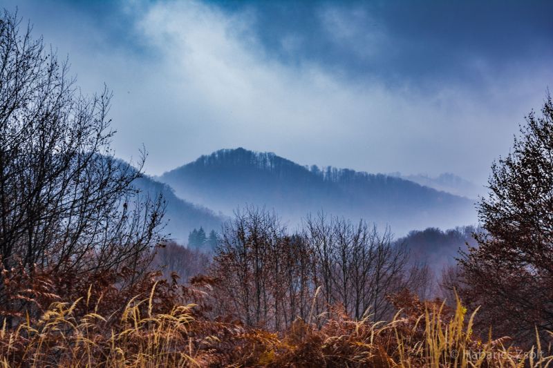 landscape, forest, hill, nature, grass, sunlight landscape, forest, hill, nature, grass, sunlight
