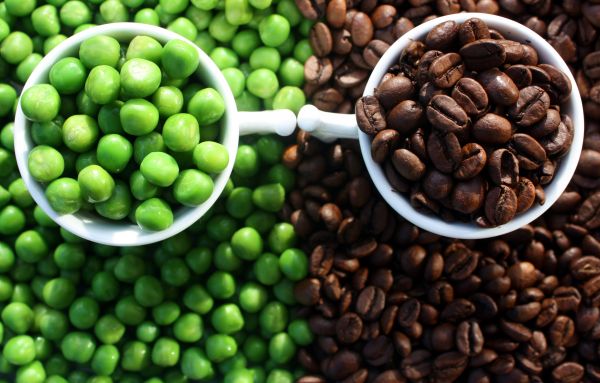 green,coffee,cafe,breakfast,glasses,vert