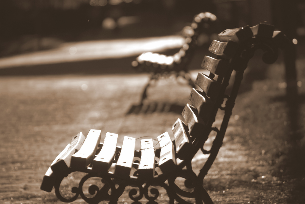 壁纸 : 马德里, 公园, 秋季, 西班牙语, 希望, 寂寞, 座位, 班巴, otono, soledad, 埃斯佩兰萨, nikond80