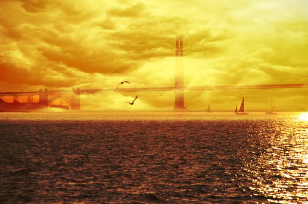 sea,sunlight,Photoshop,sunset,water,reflection