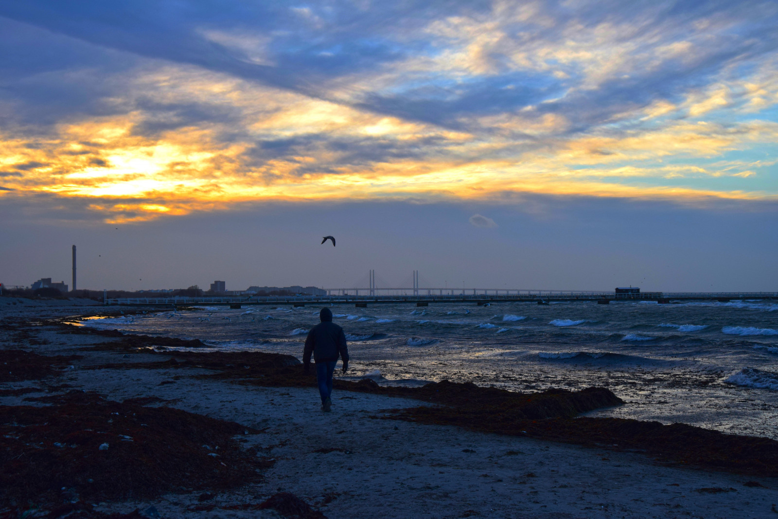 slunečnímu záření, západ slunce, moře, záliv, voda, pobřeží, písek, nebe, mraky, pláž, svítání, večer, ráno, pobřeží, most, slunce, horizont, soumrak, mrak, počasí, svítání, oceán, vlna, mořské chaluhy, odlesk, tělo z vody, mořská vlna