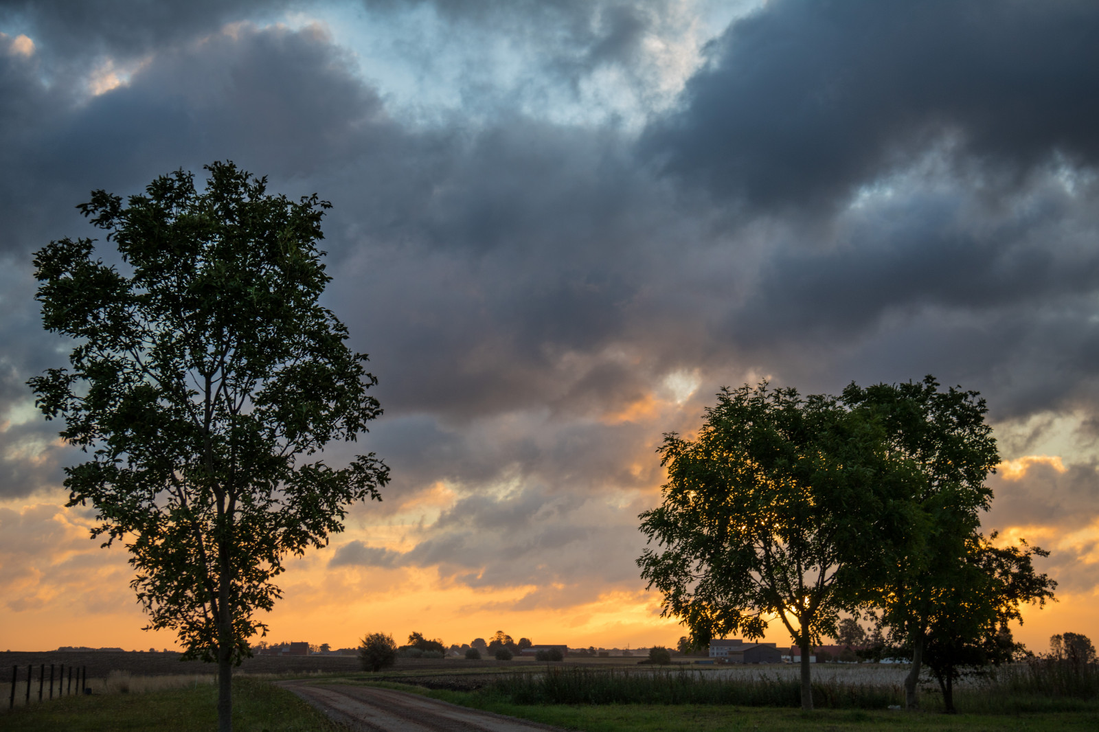 แสงแดด, แนวนอน, พระอาทิตย์ตก, ธรรมชาติ, ท้องฟ้า, ฟิลด์, พระอาทิตย์ขึ้น, ตอนเย็น, เช้า, ขอบฟ้า, บรรยากาศ, พลบค่ำ, เมฆ, ต้นไม้, สภาพอากาศ, รุ่งอรุณ, ปลูก, himmel, ชนบท, ลินคอล์น, landsbygd, soluppg ng, s dersl tt, landskap, exif model canoneos760d, ประเทศธรณีวิทยา, กล้องทำให้ Canon, geocity, กล้องรุ่น canoneos760d, geostate, ตำแหน่งทางภูมิศาสตร์, เลนส์ Exifs efs18200mmf3556is, รูรับแสง 56, exif ทำให้ canon, exif isospeed 100, exif focallength 50 มม, เขตชนบท, ปรากฏการณ์บรรยากาศ, ไม้ยืนต้น, ปรากฏการณ์ทางอุตุนิยมวิทยา