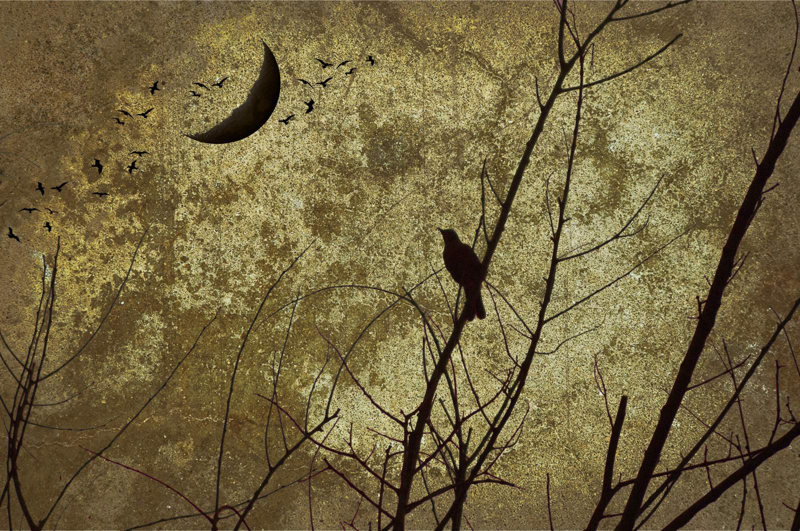 Wallpaper birds, night, nature, branch, Moon, yellow, texture, gold