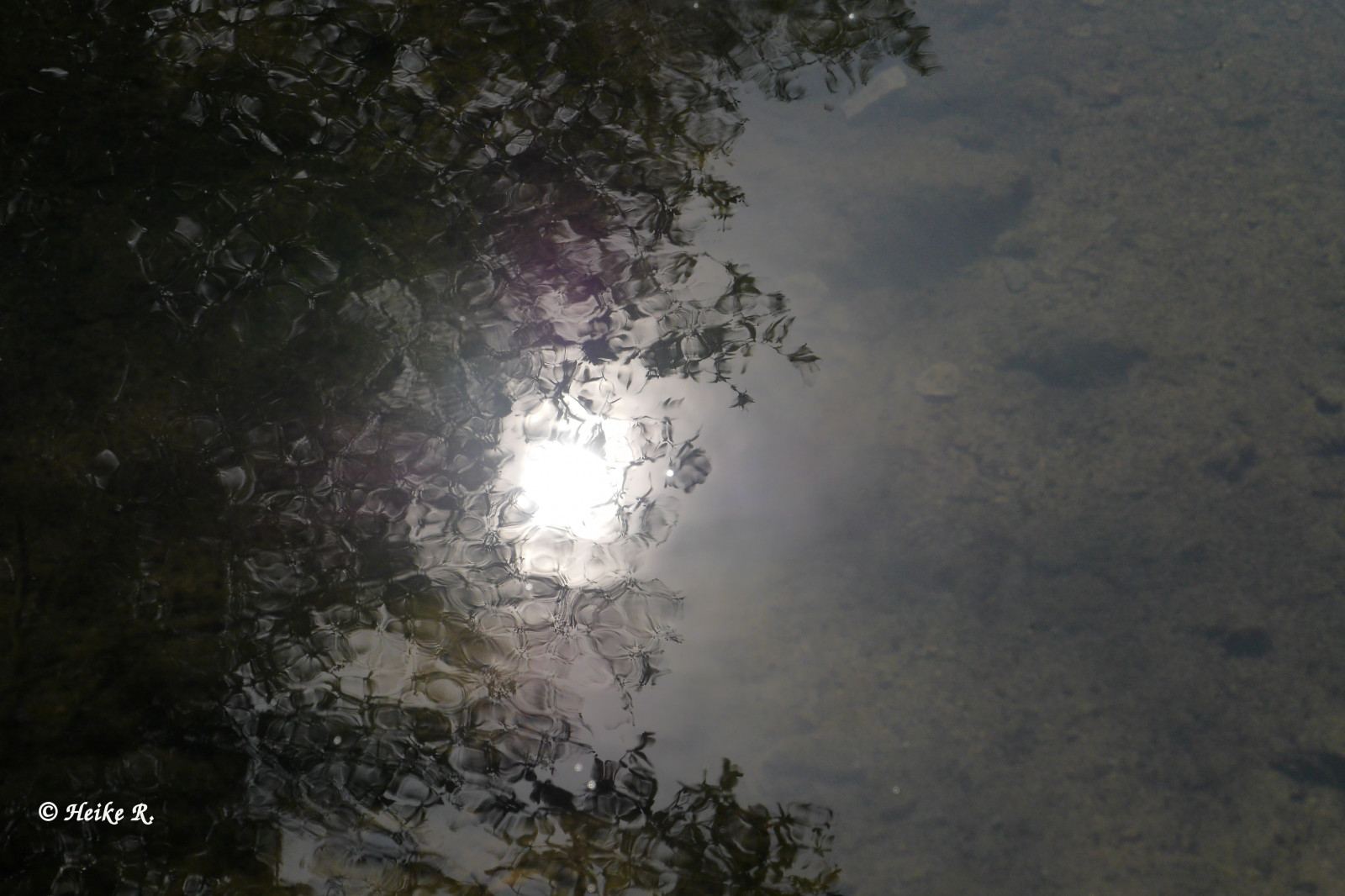 slunce, odraz, Příroda, voda, wasser, natur, Panasonic, syn, reflektion, dmcgh3