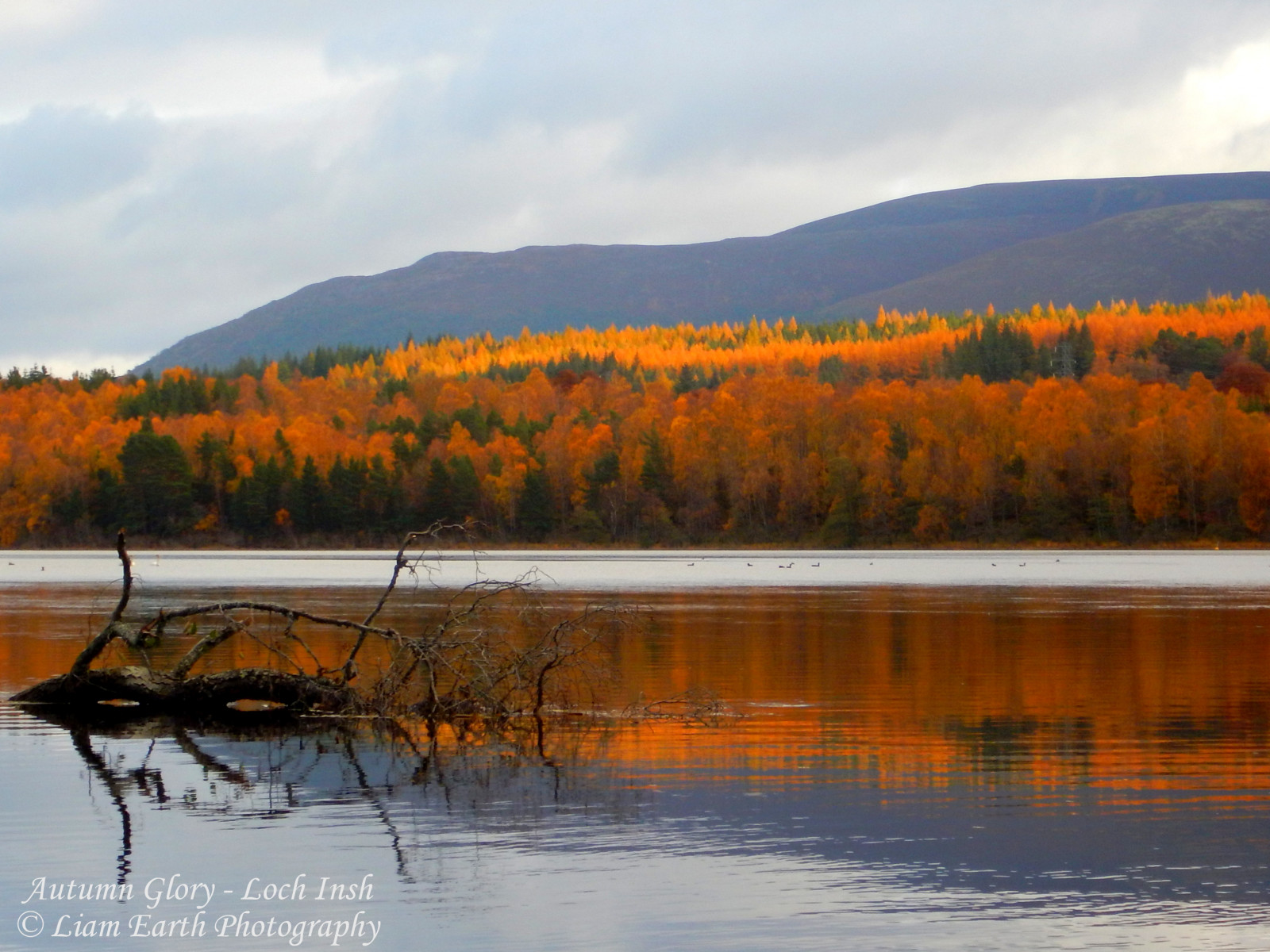 slunečnímu záření, stromy, krajina, kontrast, les, hory, kopec, jezero, voda, Příroda, odraz, nebe, Skotsko, Země, uklidnit, zelená, večer, ráno, řeka, oranžový, divočina, rybník, Křoví, mrtví, olistění, banka, Lake District, mokřadní, mrak, strom, podzim, list, hora, ještě pořád, svítání, rostlina, venkovní, waterscape, odrazy, barvy, zapadlý, nádrž, pleso, vysočina, tekoucí, bažina, jezero, klesl, národní park, lužní, symetrický, Spey, Ins