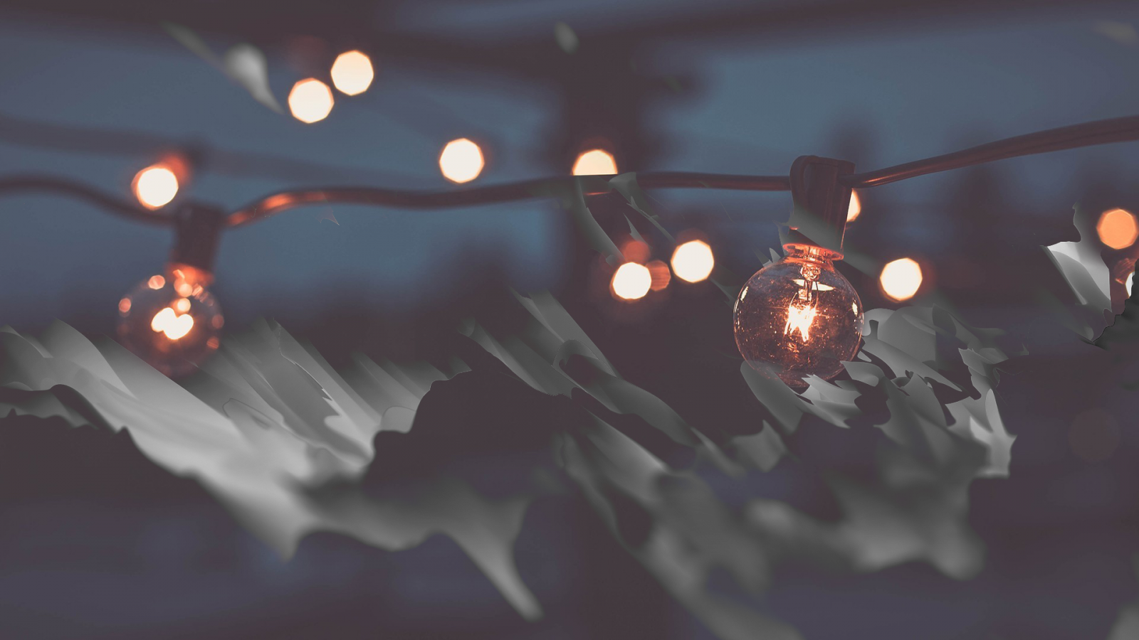 Wallpaper plasma, animals, light effects, wolf, dog, puppies