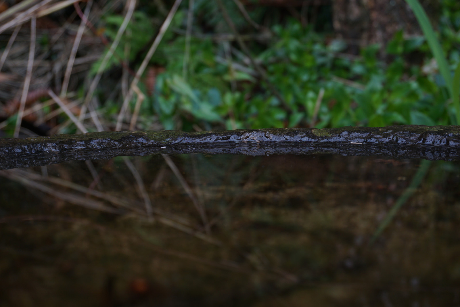 Čína, čínština, noc, ohňostroj, festivaly