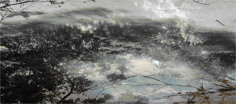 white, black, Photoshop, sunlight, water, reflection white, black, Photoshop, sunlight, water, reflection