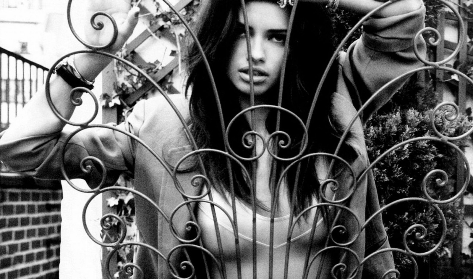 ženy, černobílý, model, bruneta, Adriana Lima, Černý a bílý, monochromatické fotografování, kryt alba