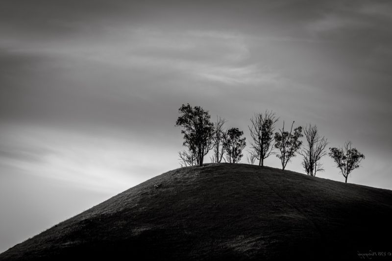 sunlight, white, black, monochrome, hill, nature sunlight, white, black, monochrome, hill, nature