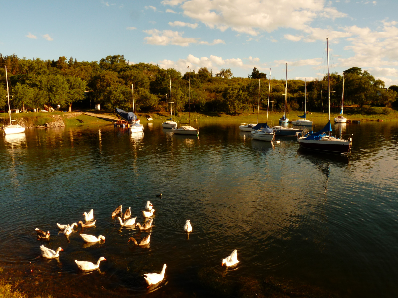 letní, naturaleza, slunce, Argentina, YAHOO, Google, flickr, tn, Verano, Cordoba, Tormenta, Embalse, Zaregistruj se, humedad, temperaturasaltas