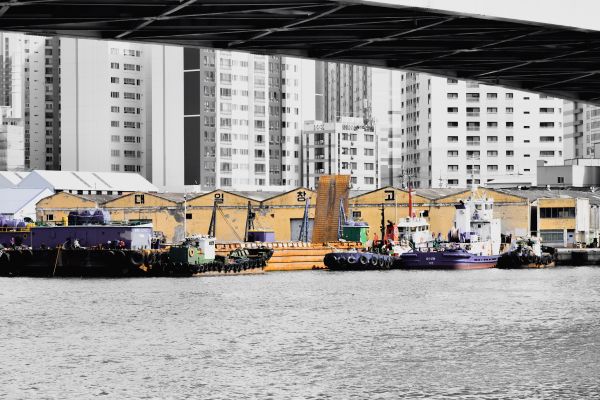 Busan,harbor,monochrome,dockyard