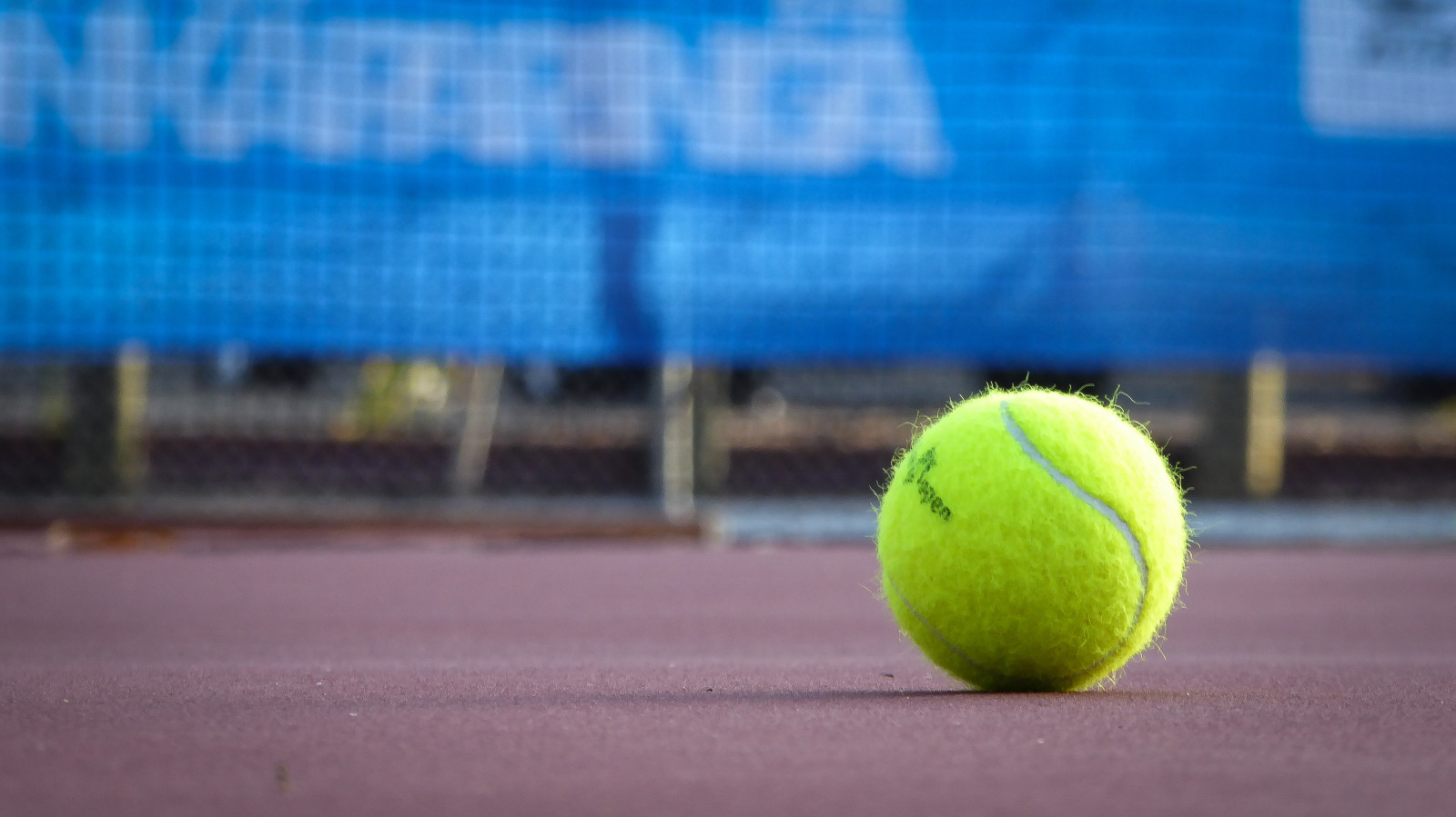 modrý, stín, Červené, žlutý, plot, míč, soud, lumix, srstnatý, neon, Pozadí, tenis, Adelaide, osamělý, happyvalley, Tennisclub, theen, atpchallenger, cityofonkaparinga