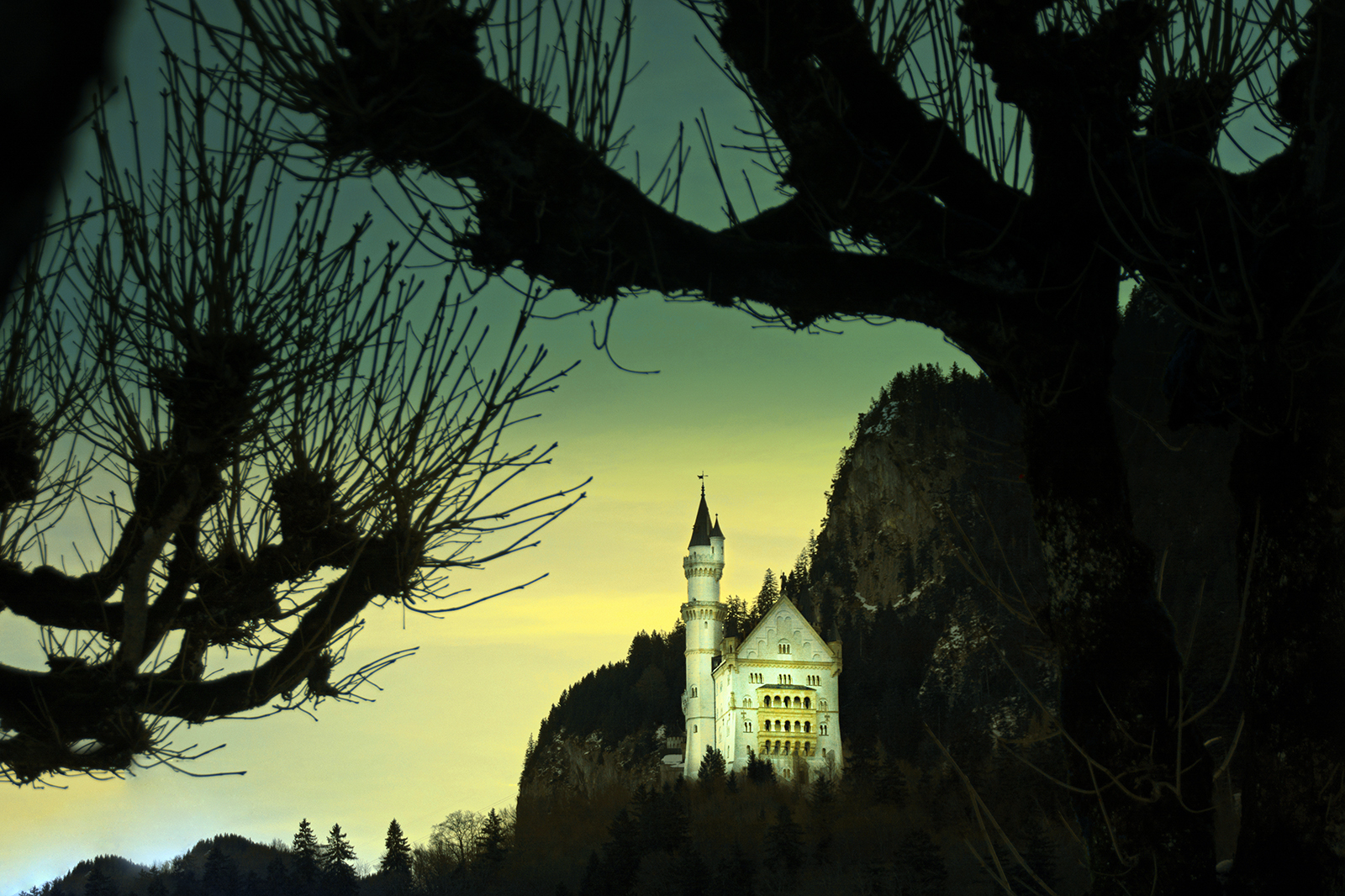 krajina, les, noc, architektura, Příroda, tráva, nebe, silueta, větev, večer, hrad, Německo, atmosféra, Bavaria, půlnoc, strom, list, rostlina, tma, počítač tapeta, dřevina, jev, Schlos, Neuschwanstein, zamek, stock photography