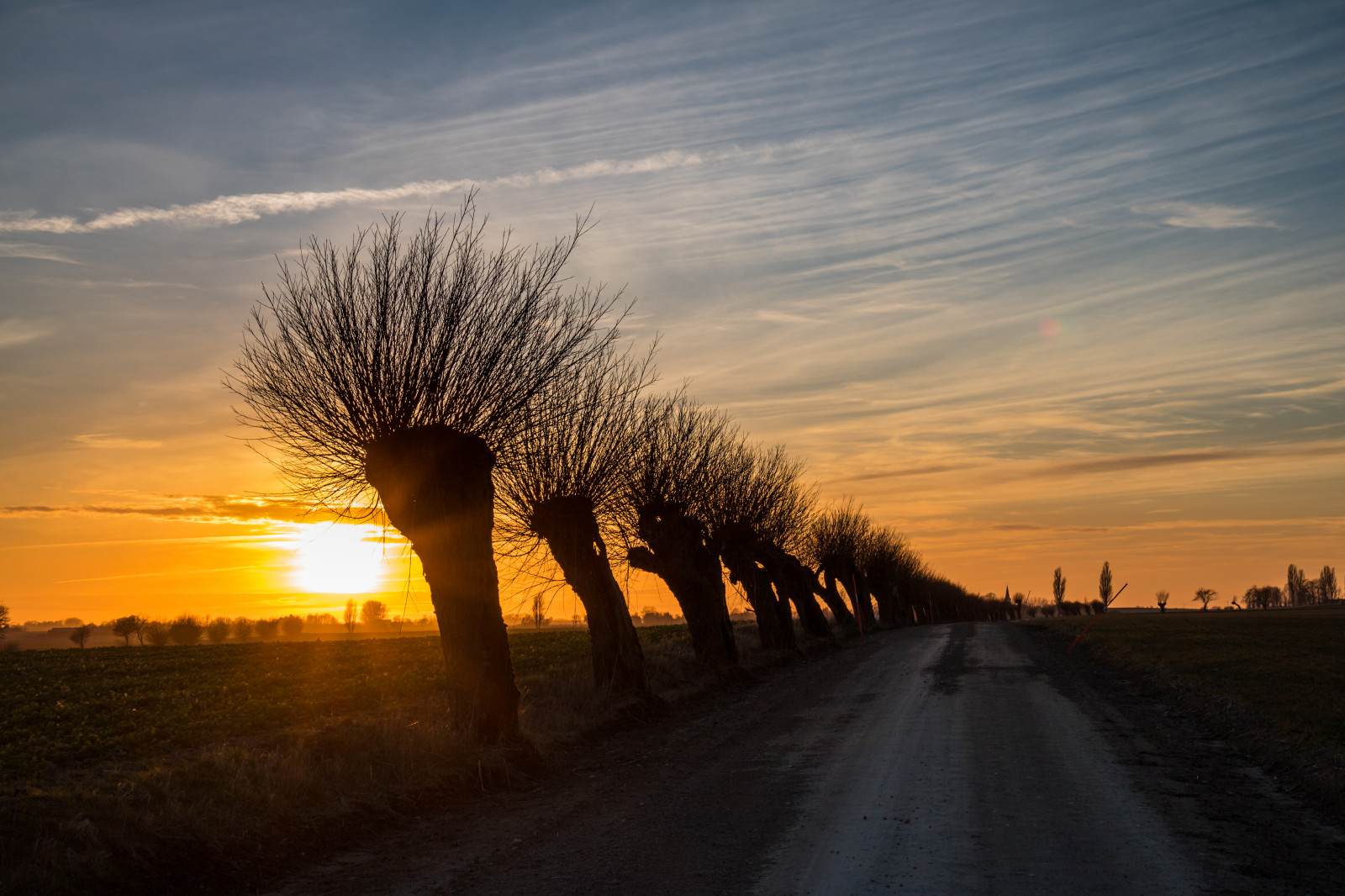 slunečnímu záření, krajina, západ slunce, Příroda, nebe, pole, silueta, svítání, večer, ráno, slunce, horizont, atmosféra, soumrak, mrak, strom, svítání, sezóna, nebe, solnedg ng, siluett, venkov, moln, landsbygd, landskap, atmosférický jev, dřevina
