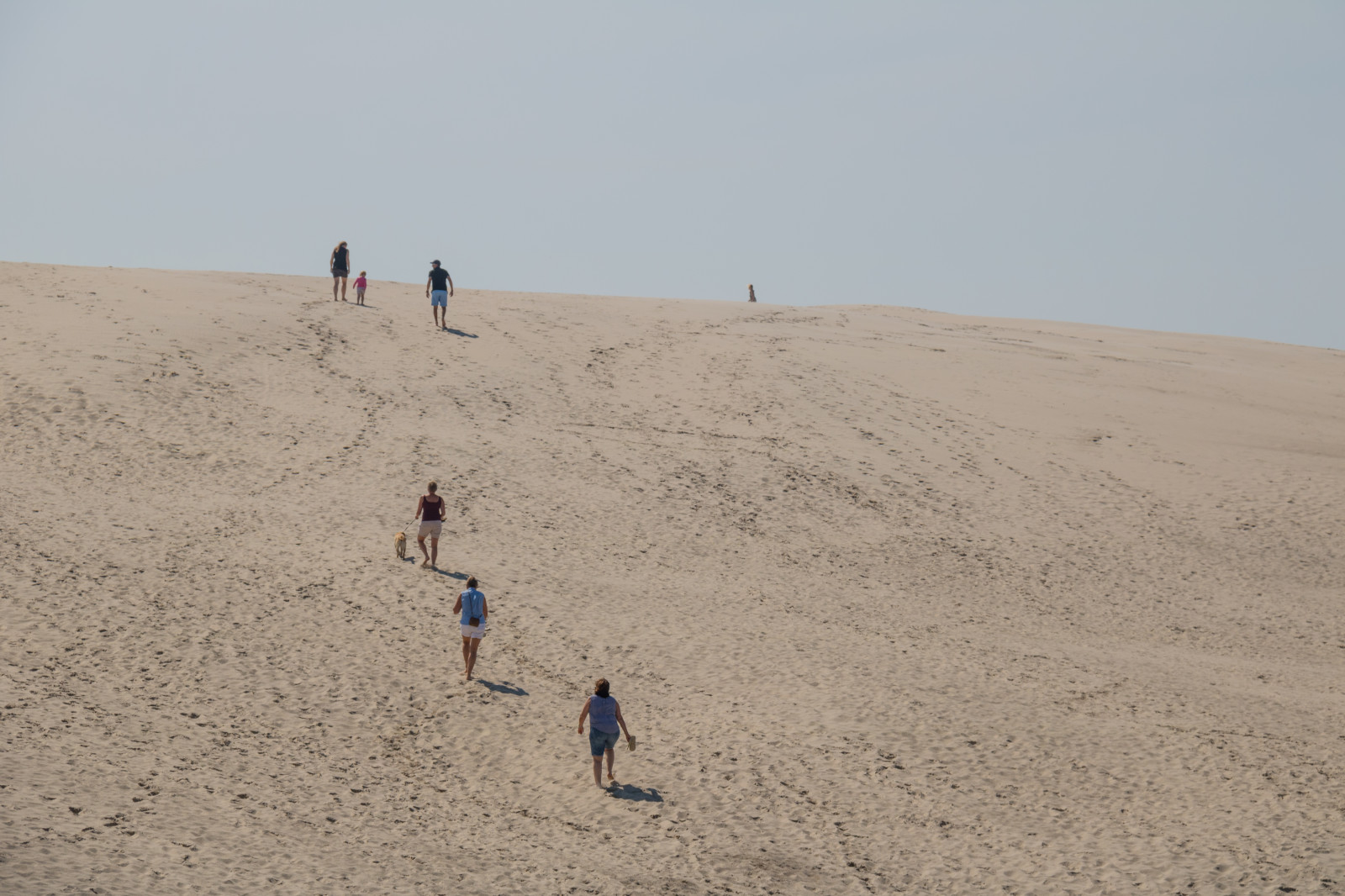 krajina, moře, písek, pláž, pobřeží, poušť, duna, Dánsko, Sahara, Danmark, materiál, Skagen, bunkenklitplantage, r bjergmile, Jylland, sanddyn, migratingcoastaldune, místo výskytu, přírodní prostředí, landform, geografický rys, vádí, Liparské landform, ERG