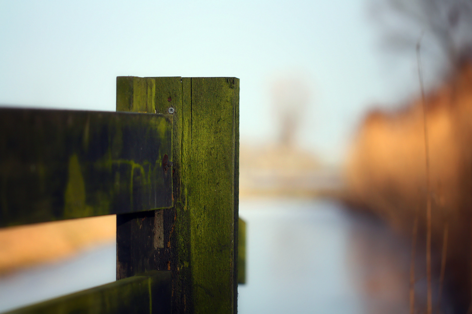 slunečnímu záření, okno, voda, odraz, fotografování, dřevo, zelená, žlutý, modrý, ráno, řeka, Kánon, plot, bokeh, okraj, pátek, světlo, barva, F28, hloubka pole, list, dof, dřevěný, okraj, tvar, HFF, 100mm, fencedfriday, zblízka, canoneos450d, oplocení, groen, rivier, 52in2017, happyfencedfriday, ohrazený, HEK, hekwerk, vrijdag, scherptediepte, dgawc, canonnl, Houten, 27edge, Oever, herfstkleuren