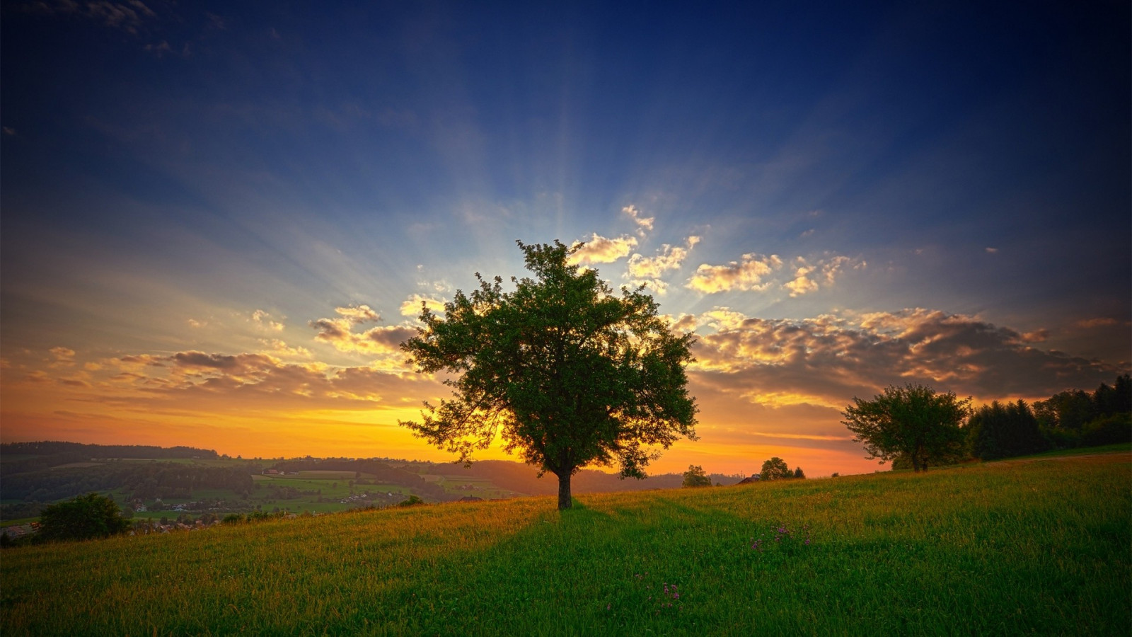 sollys, landskab, solnedgang, bakke, natur, himmel, Mark, solopgang, aften, morgen, Sol, horisont, skumring, Sky, træ, daggry, græsarealer, plante, eng, almindeligt, 1920x1080 px, prærie, landdistrikt, naturligt miljø, atmosfærisk fænomen, computer tapet, efterglød, vedplante, savanne