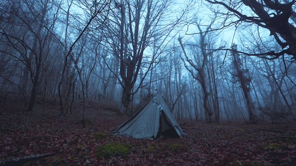 forest,tree house,landscape,dark,camping,forest clearing