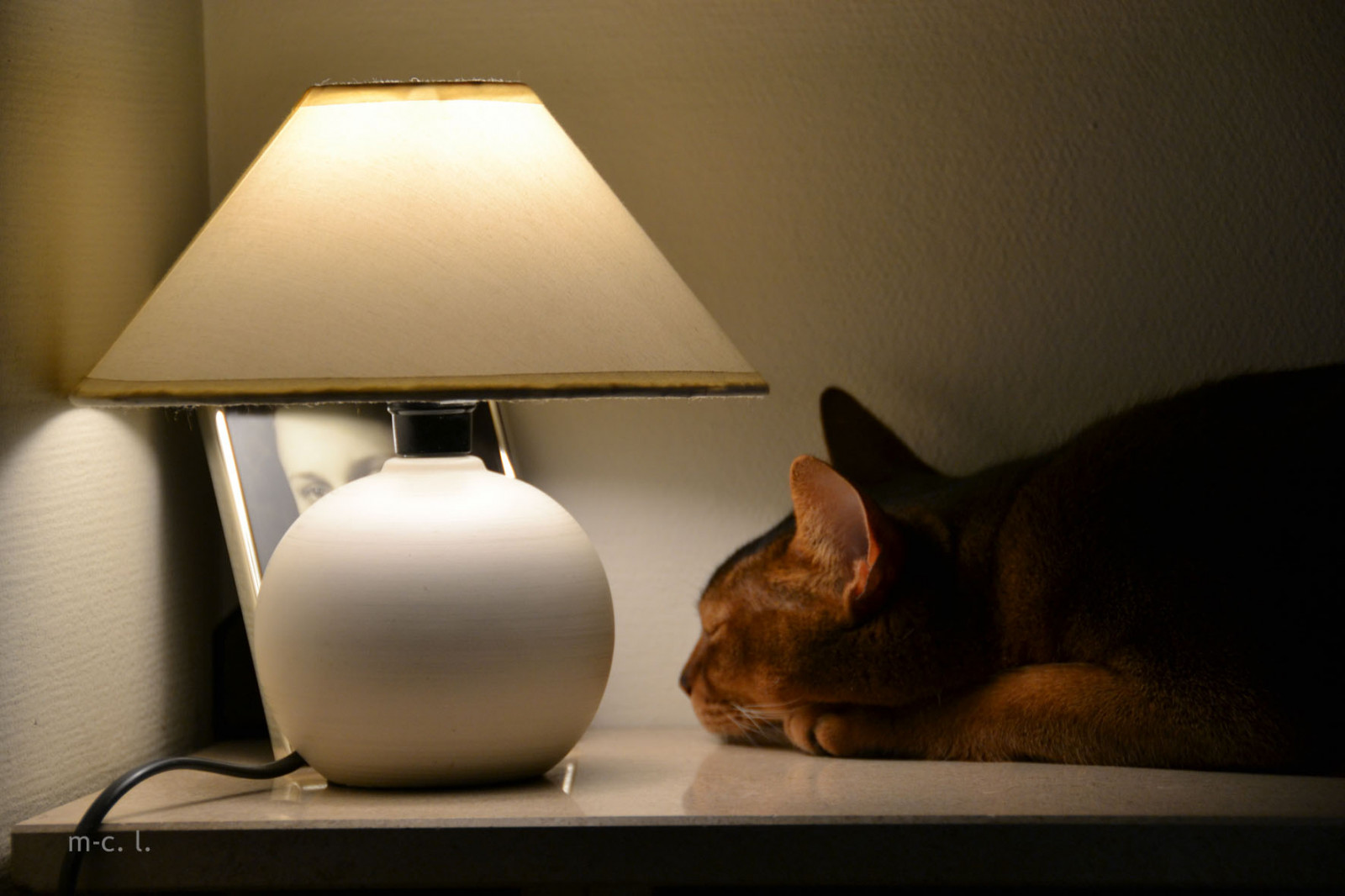 portrét, Domácí mazlíčci, zvěř, kočka, portréty, Nikon, koťata, habešský, Naše zákazníky, Flickrphotocontest, Nikongear, nikonflickraward, nikonflickrawardgold, Perfectioninpictures, mygearandme, mygearandmepremium, natureskingdom, nikond3100, photohobbylevel1, Photohobbylevel2, Photohobbylevel3, Soutěž petportraits, Pictbystinnie, ruby20