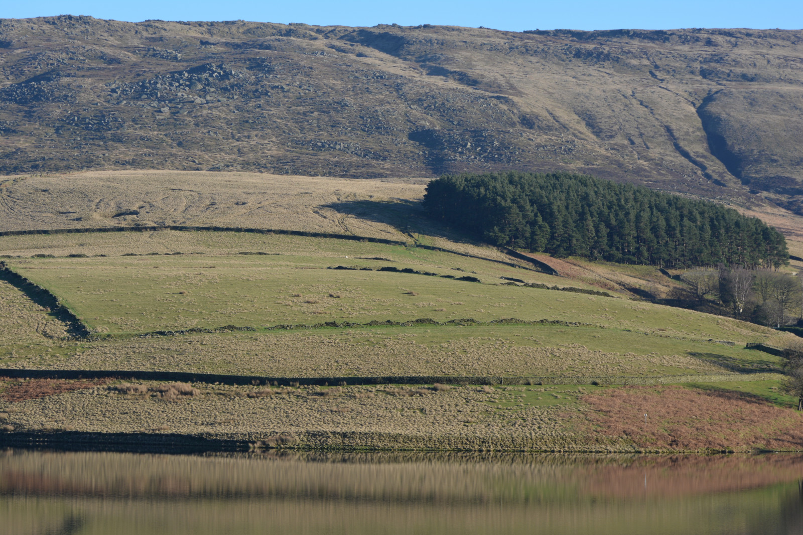Inghilterra, Regno Unito, derbyshire, campo di fieno, Peak District, highpeak, Parco Nazionale, thenationaltrust, kinderreservoir, più gentile, kinderscout, montagne, Montagna, montagna, cresta, rockformation, pendio, collina, pedemontano, patchwork, i campi, campo, muro di pietra, alberi, riflessi, inverno, prateria, erba, wasser, acqua, brughiera, all'aperto, paesaggio