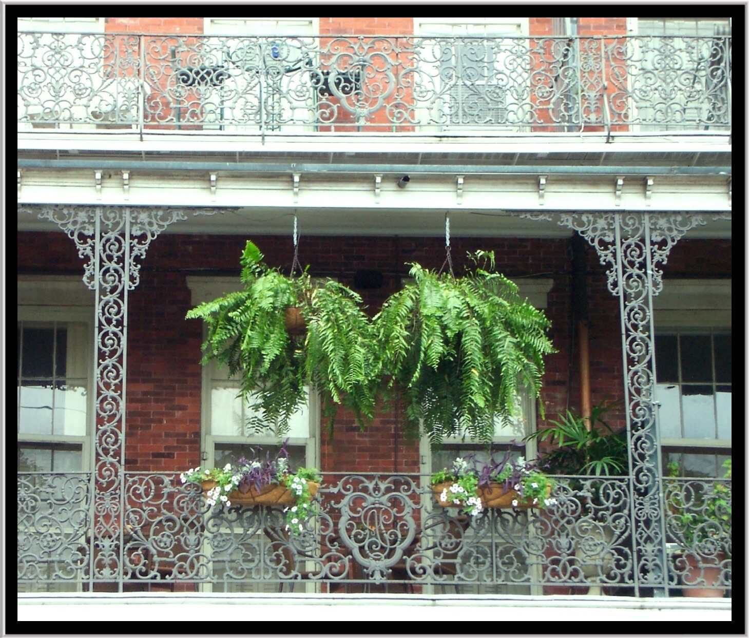 okno, architektura, budova, Obsazení, Dům, historický, balkón, Spojené státy americké, francouzština, Kuba, Los Angeles, Louisiana, strom, Nový, květ, rostlina, budovy, newyork, železo, mezník, nrhp, onasill, fasáda, nádvoří, orleans, květináče, pontalba, antebelum, quartesr