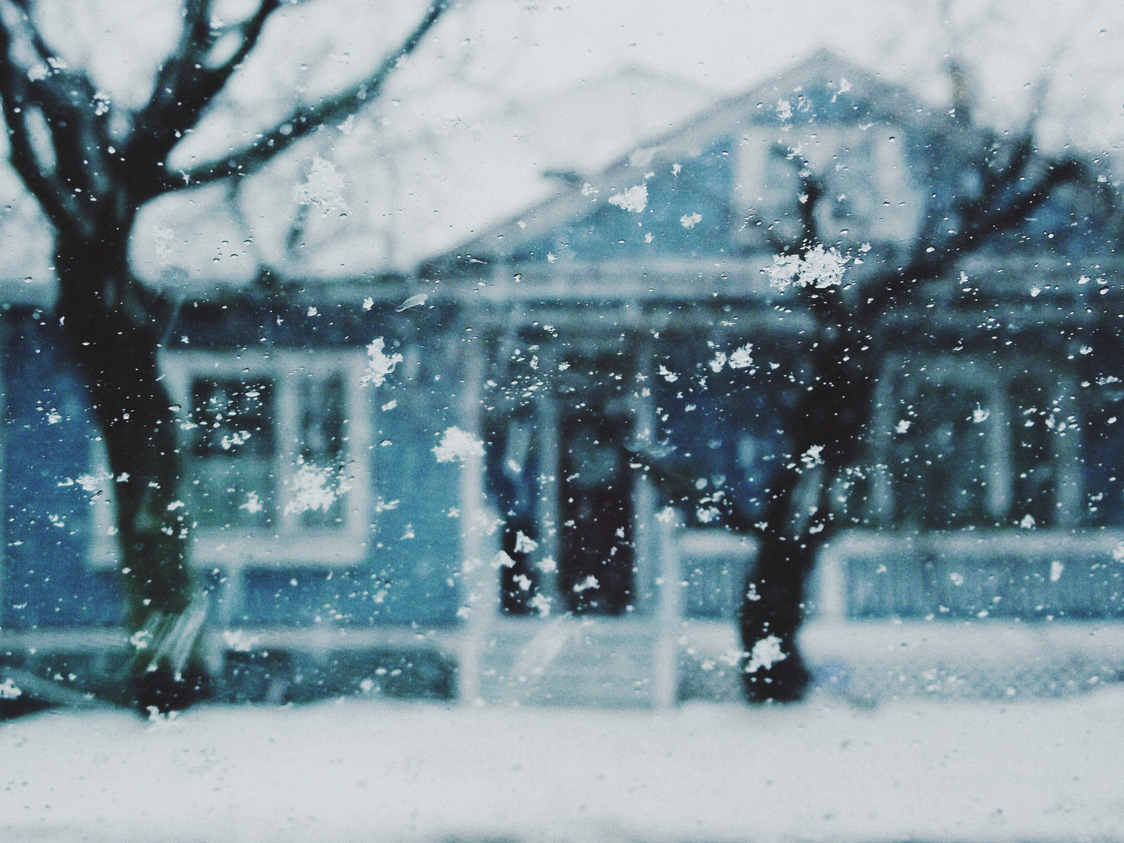 modrý, zima, Dům, sníh, Studený, okno, počasí, novofundlanďan, zamrzlý, blues, zasněžování