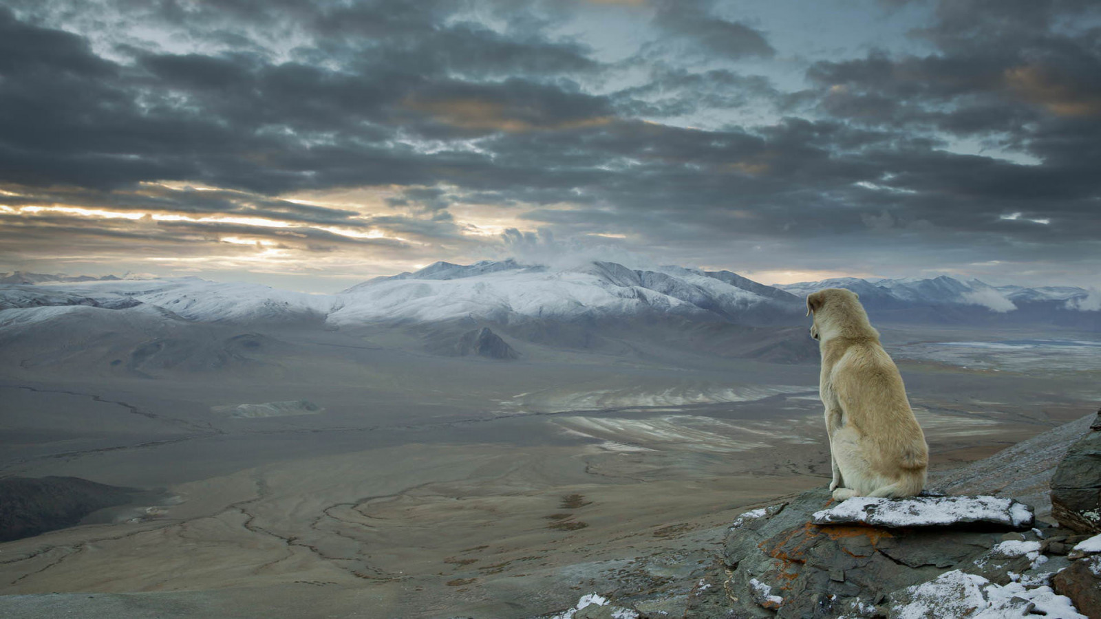 Sky, himmel, bjerg, sne, kødædende, hældning, landskab, is kappe, iskold landskabsform, bjergrige landskabsformer, bjergkæde, horisont, vinter, Fryser, Natural landscape, cumulus, bakke, plateau, det arktiske Ocean, klippe, indlandsisen, græsarealer, ocean, tundra, træ, gletscher, Massif, Arctic, terrestrial animal, hunderace, aften, træ, søbjørne, topmøde, is