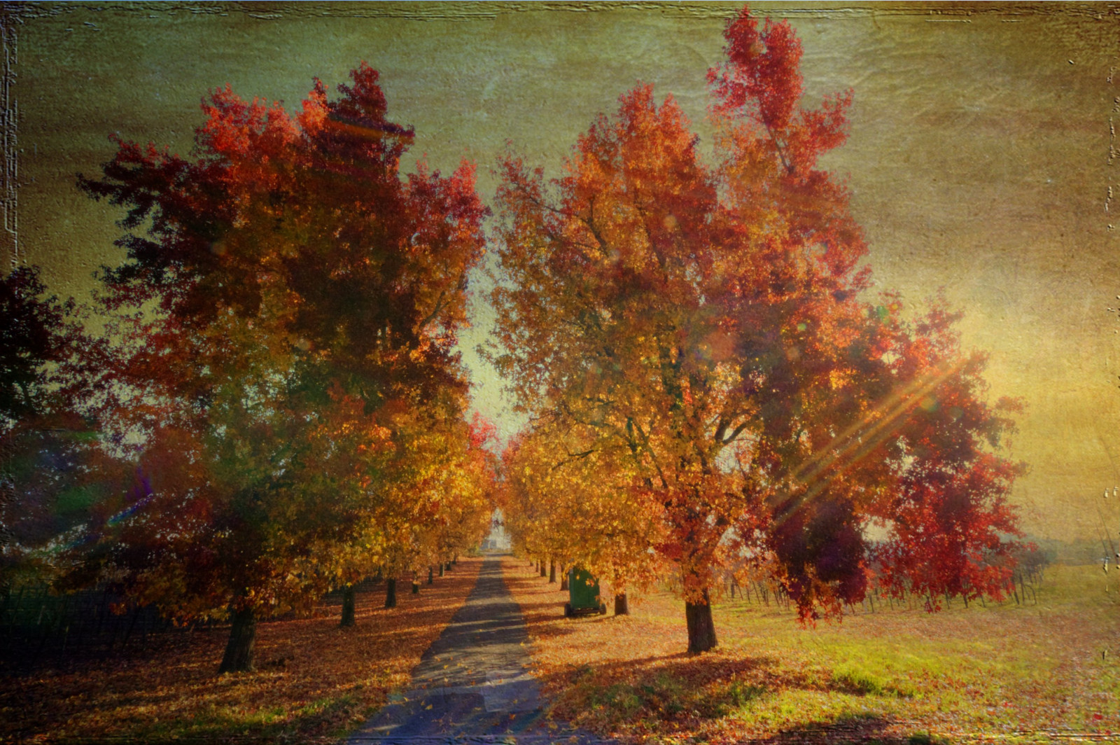 Bäume, Malerei, Textur, 2011, Baum, Herbst, Blatt, Jahreszeit, Coth5, Sailsevenseas, Wald, Legacy Exzellenz, Hsexcellence, Bestofshining, Artdigitalexcellence, Kurtpeiserexcellence, Lw, P365, Daarklandsexcellence, Gdgexcellence, Exotisch, Holzige Pflanze, Impressionist, Verschwinden, Petitexcellence, Tisexceellence, Rockpaperexcellence, Dez