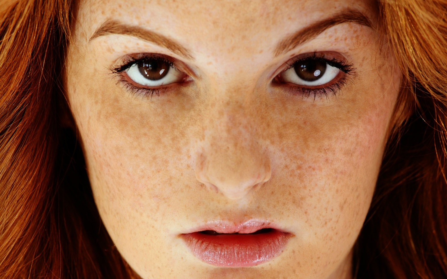 Wallpaper Face Redhead Model Pornstar Looking At Viewer Freckles Mouth Nose Skin Head 