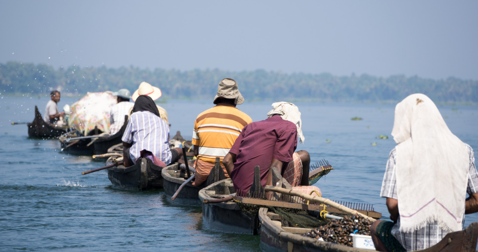 modrý, moře, lidé, muž, voda, řeka, krajina, venku, loď, rybolov, venkovní, upřímný, indický, kerala, ústřice, Jednotlivci