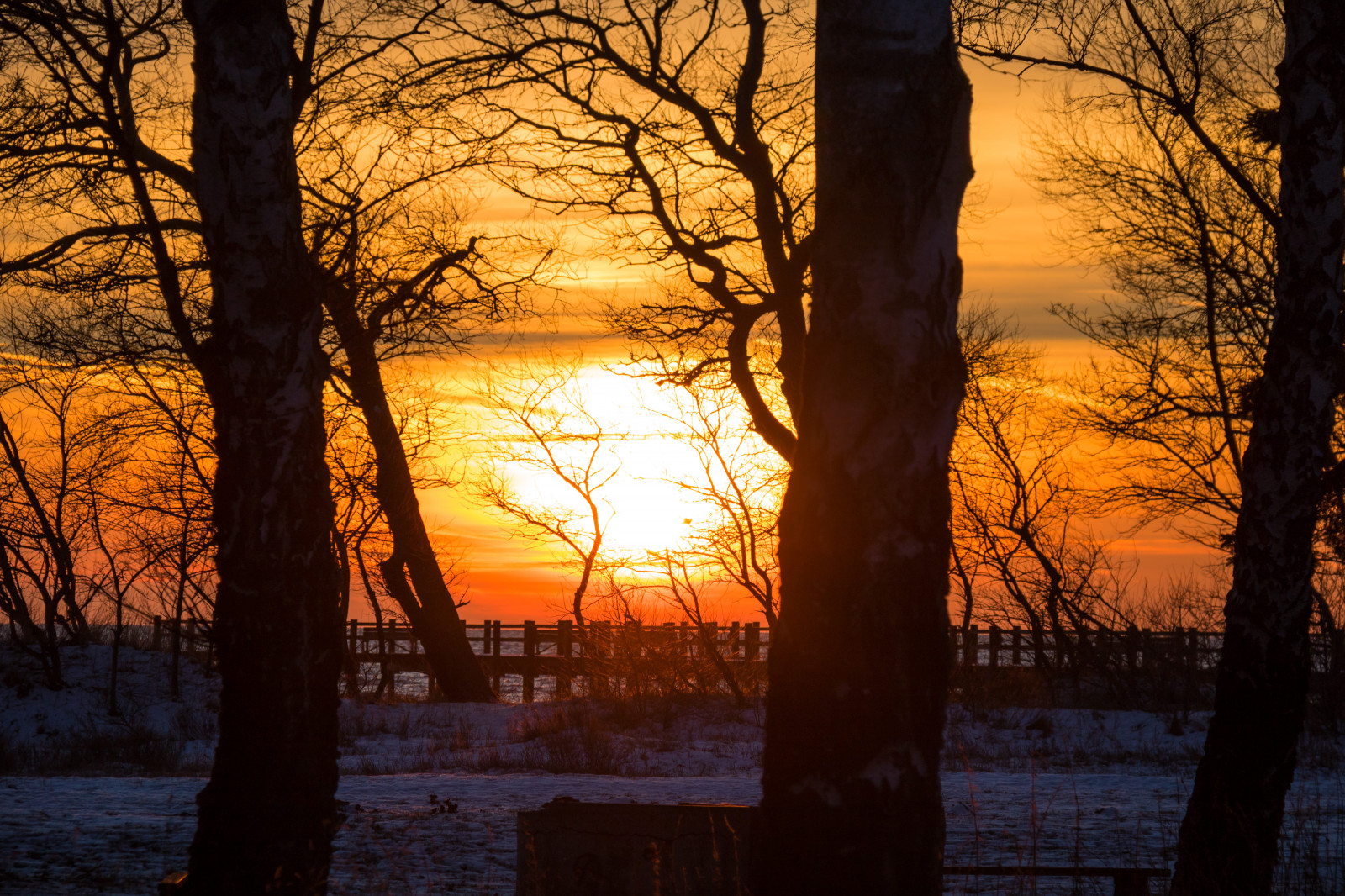 sollys, Skov, solnedgang, natur, afspejling, sne, vinter, afdeling, solopgang, aften, morgen, Sol, skumring, træ, efterår, daggry, plante, sæson, solnedg ng, sn, vinter, tr d, exif model canoneos760d, geocountry, kamera gør kanon, geocity, kameramodel canoneos760d, geostate, geolocation, exif linse efs18200mmf3556is, exif gøre kanon, exif isospeed 100, exif åbningen 80, Dalabadets, exif focallength 130mm, atmosfærisk fænomen, vedplante
